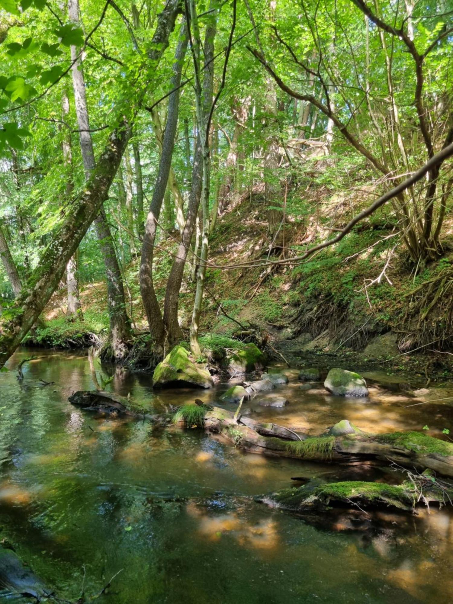 Domki Nad Morzem Lublewo21 Obok Bialogory Lublewo Leborskie Extérieur photo
