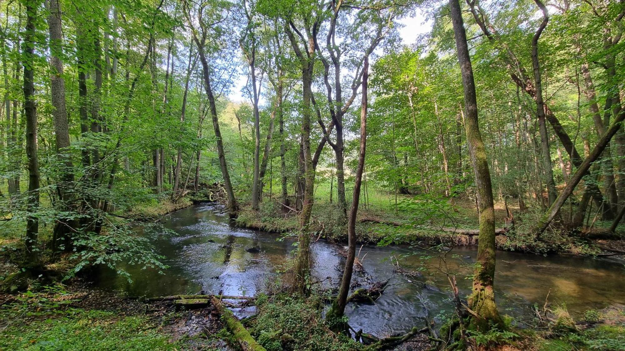 Domki Nad Morzem Lublewo21 Obok Bialogory Lublewo Leborskie Extérieur photo